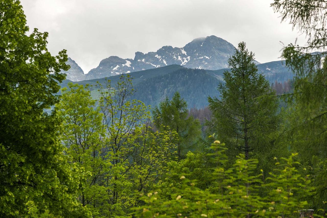 Rent Like Home - Bulwary III Zakopane Eksteriør billede